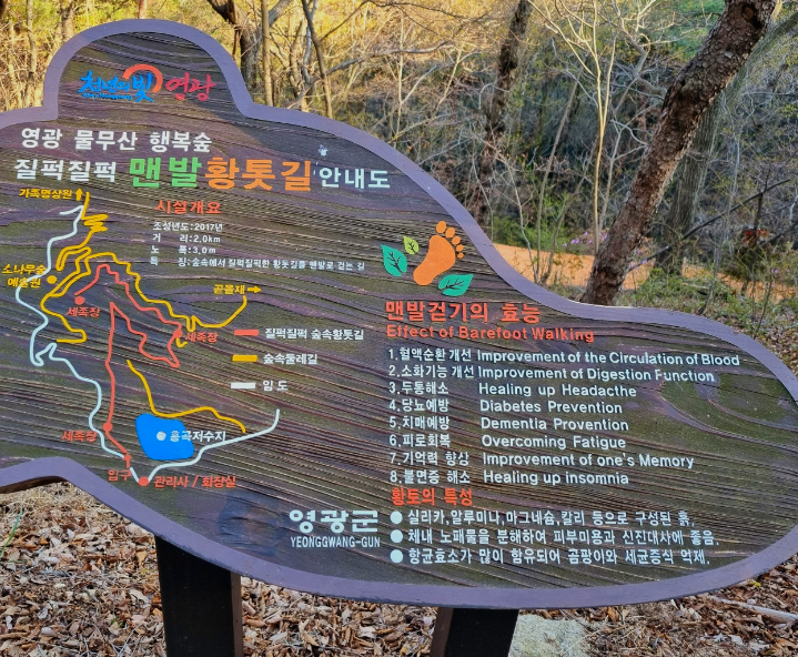 KBS 2TV생생정보 맛집오늘