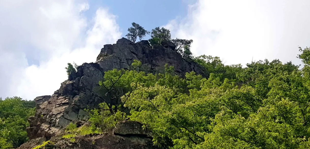포항 동대산