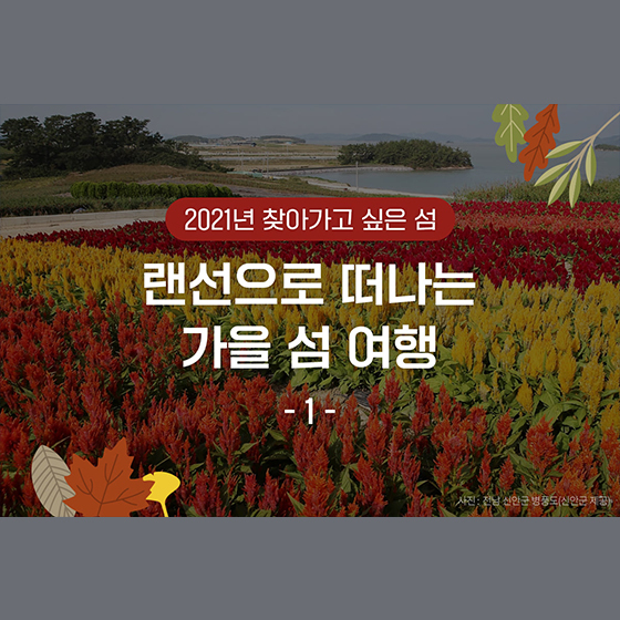  랜선으로 떠나는 가을 섬 여행, 대한민국 구석구석