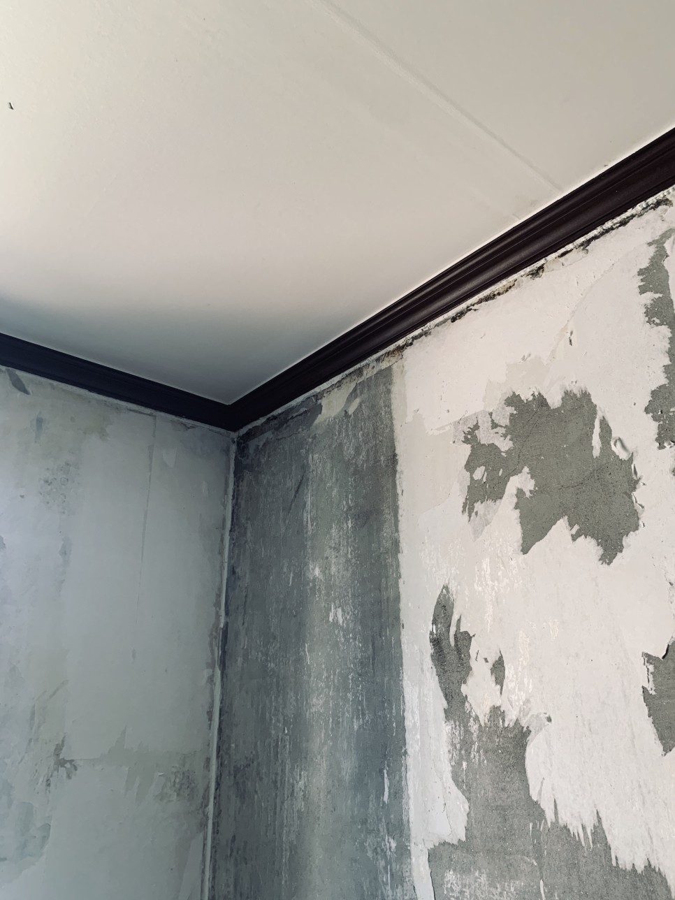 벽지곰팡이 제거 8