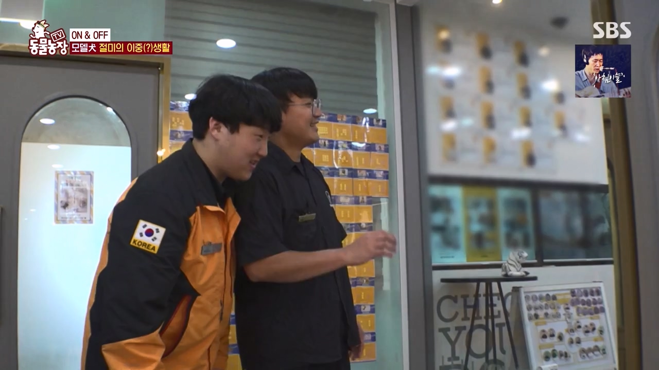 TV 동물농장.E1169.240429p-NEXT.mp4_20240428_165232.144.jpg