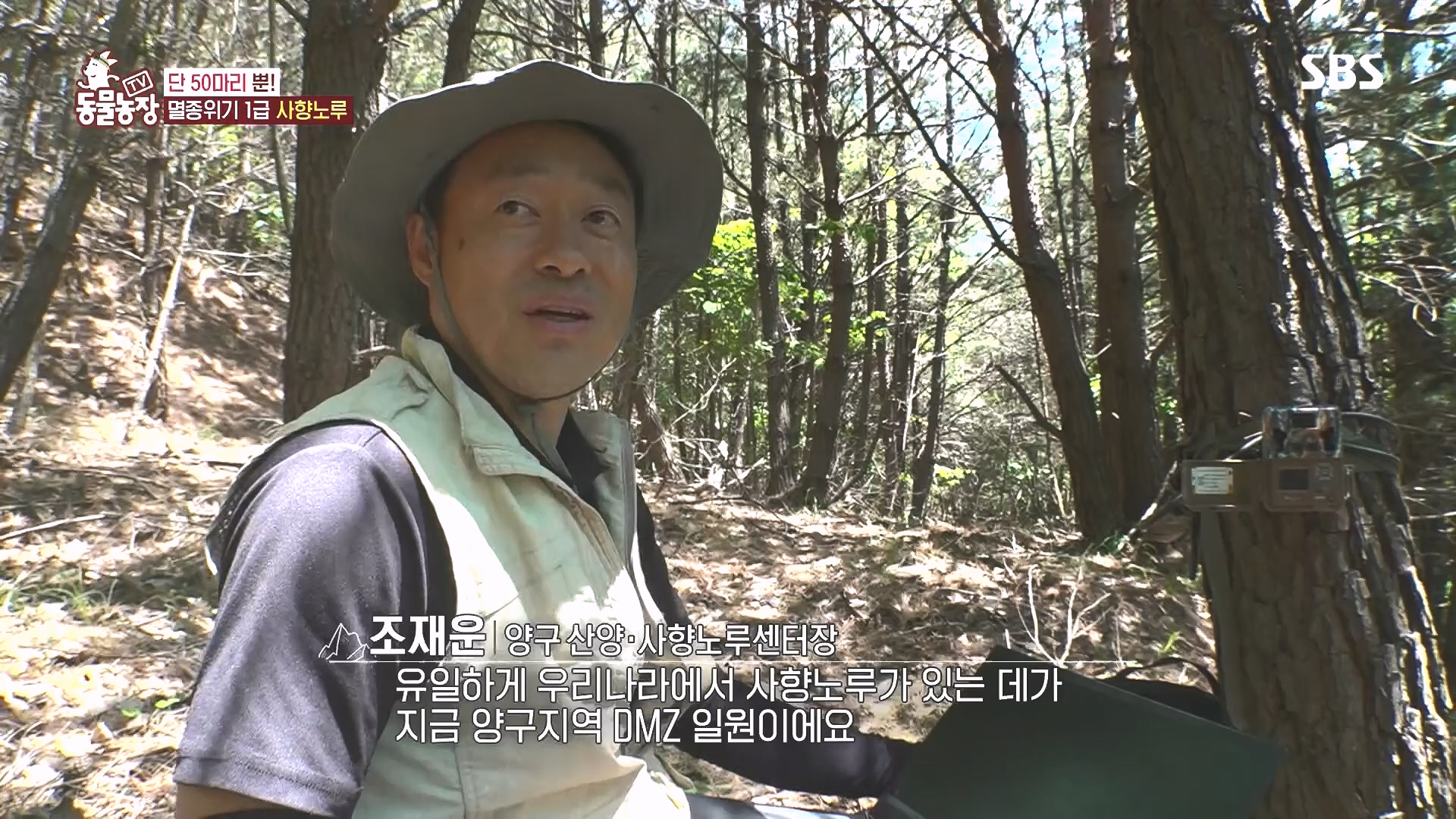 TV 동물농장.E1185.240818p.H264-F1RST.mp4_20240818_161611.583.jpg