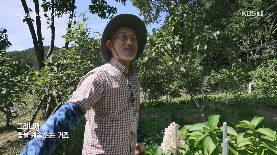 다큐 인사이트.E153.230608p.H264-F1RST.mp4_20230612_204527.425.jpg