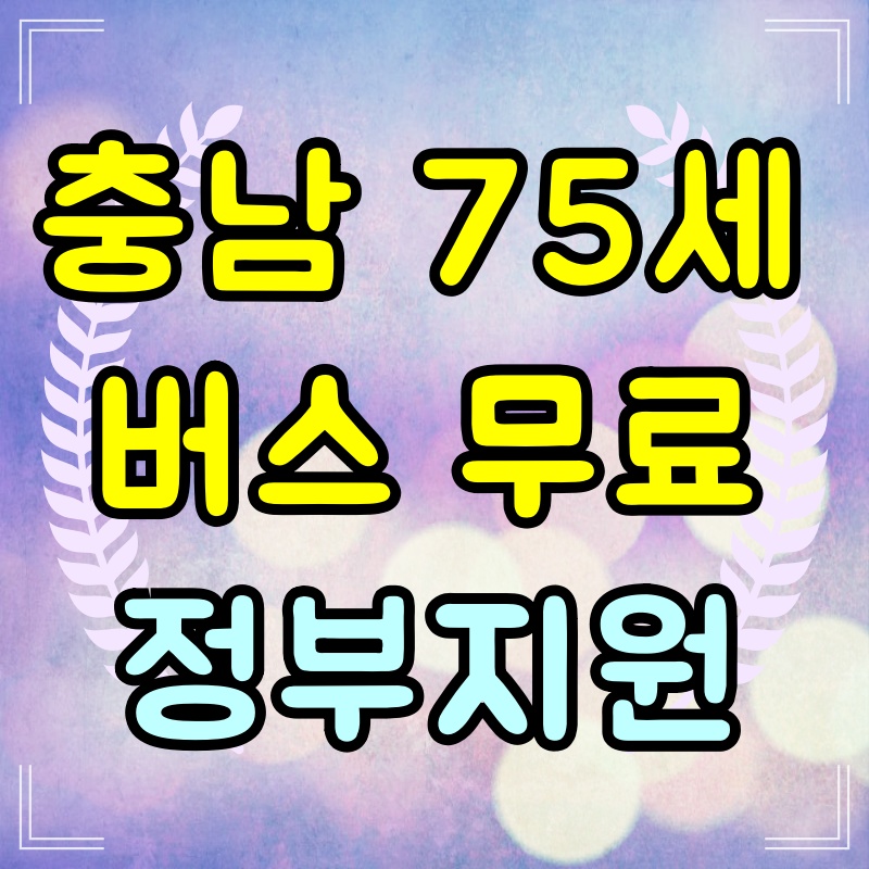 충남 노인 버스 무료 경로우대 교통카드
