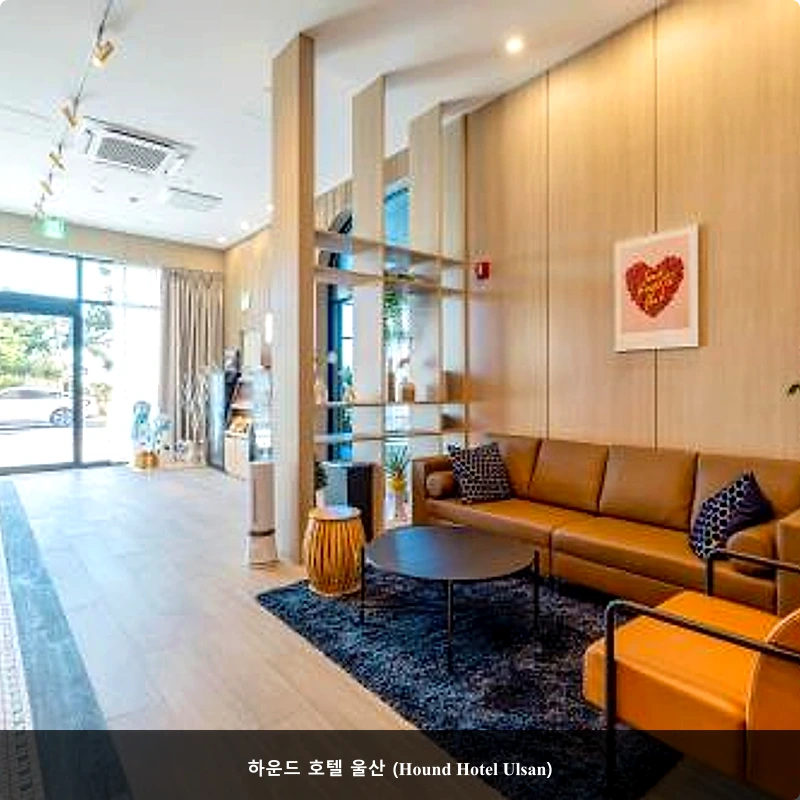 하운드 호텔 울산 (Hound Hotel Ulsan)_3