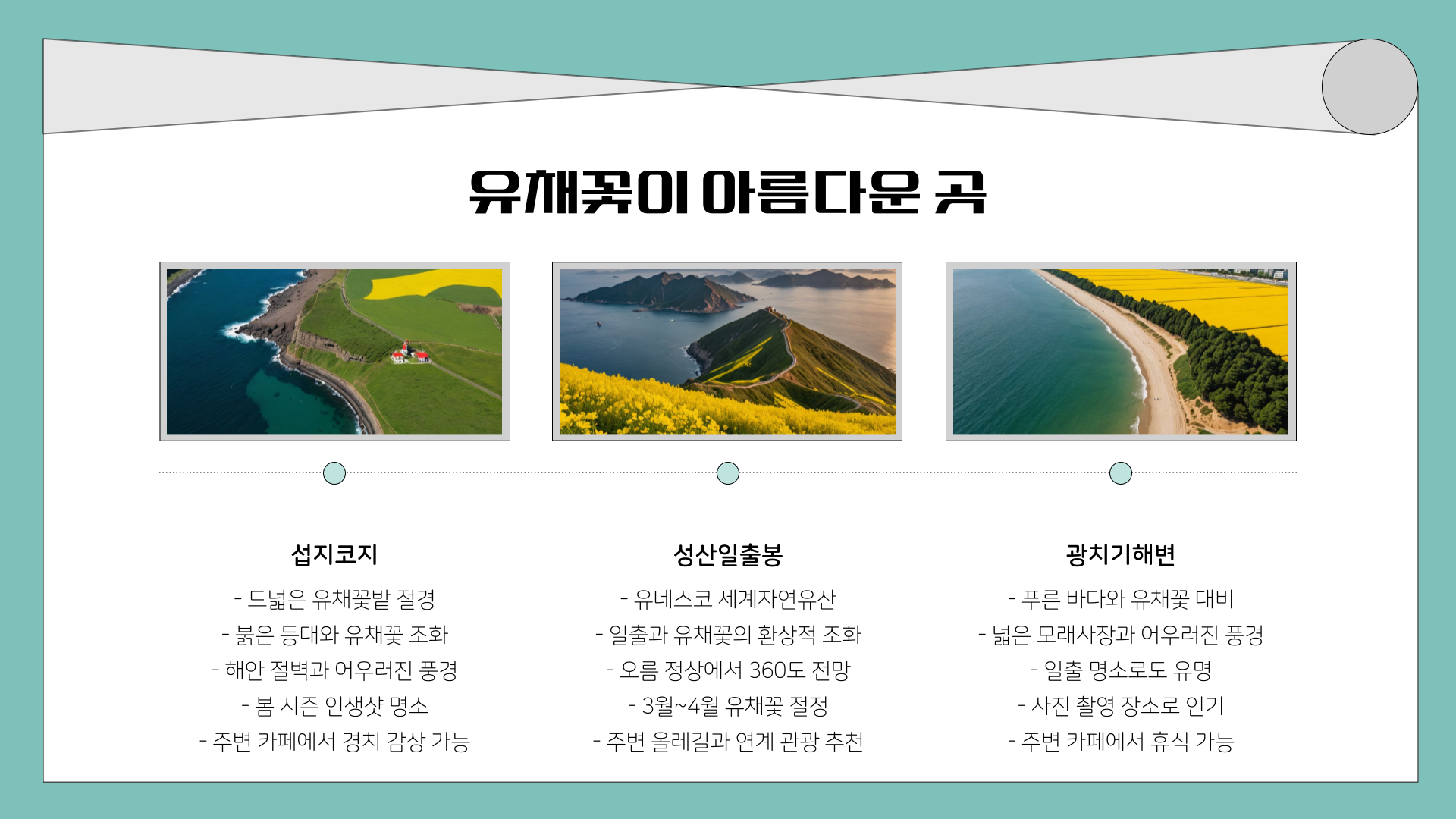 3월 제주도 가볼 만한 곳 10곳! 벚꽃, 유채꽃, 드라이브까지 완벽한 여행