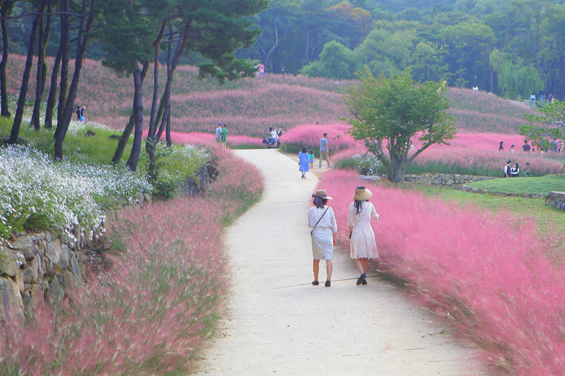 칠곡-가산수피아