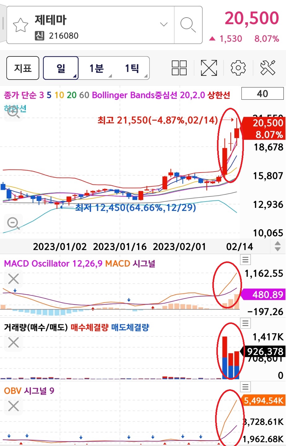 제테마 일봉챠트