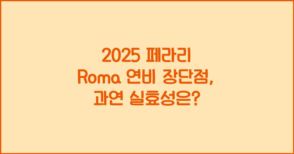 2025 페라리 Roma 연비 장단점