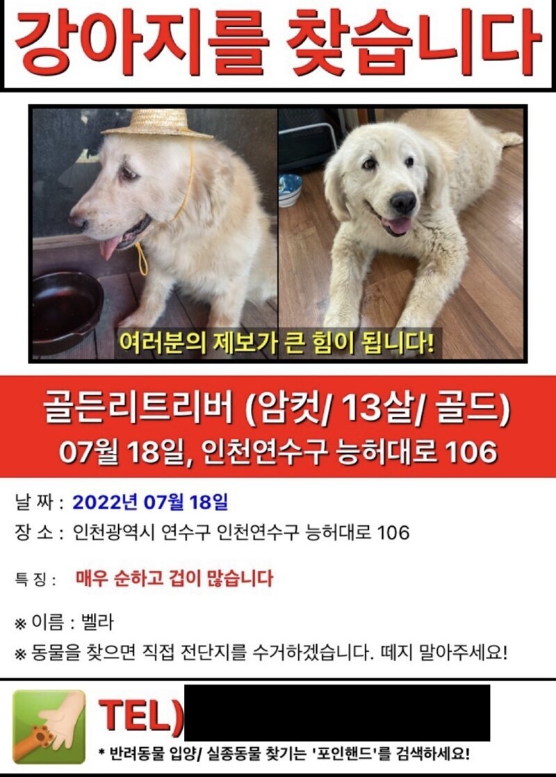  당근마켓에 올라온 실종된 강아지의 결말.jpg