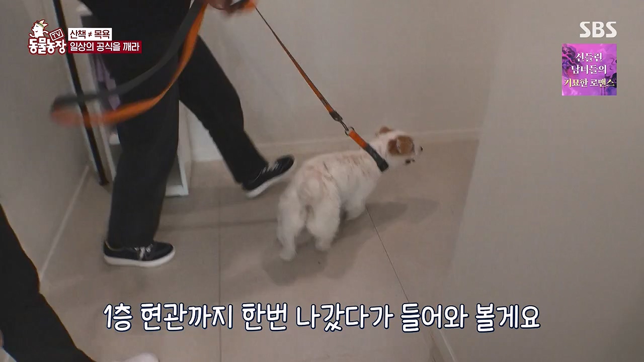 TV 동물농장.E1177.240624p-NEXT.mp4_20240623_163802.967.jpg