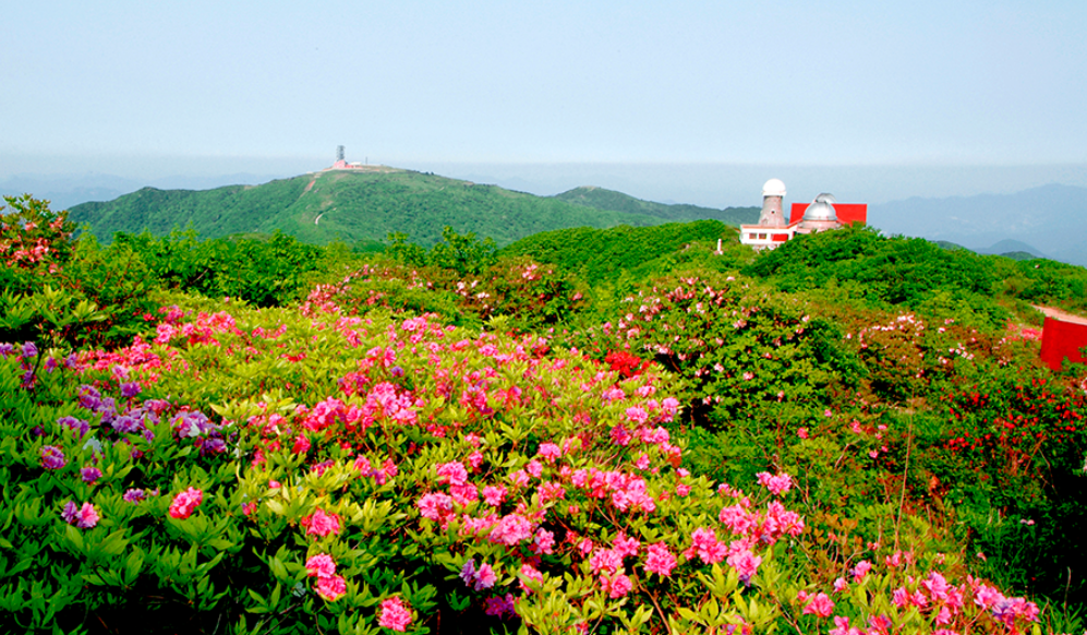 충북 단양 소백산 철쭉제