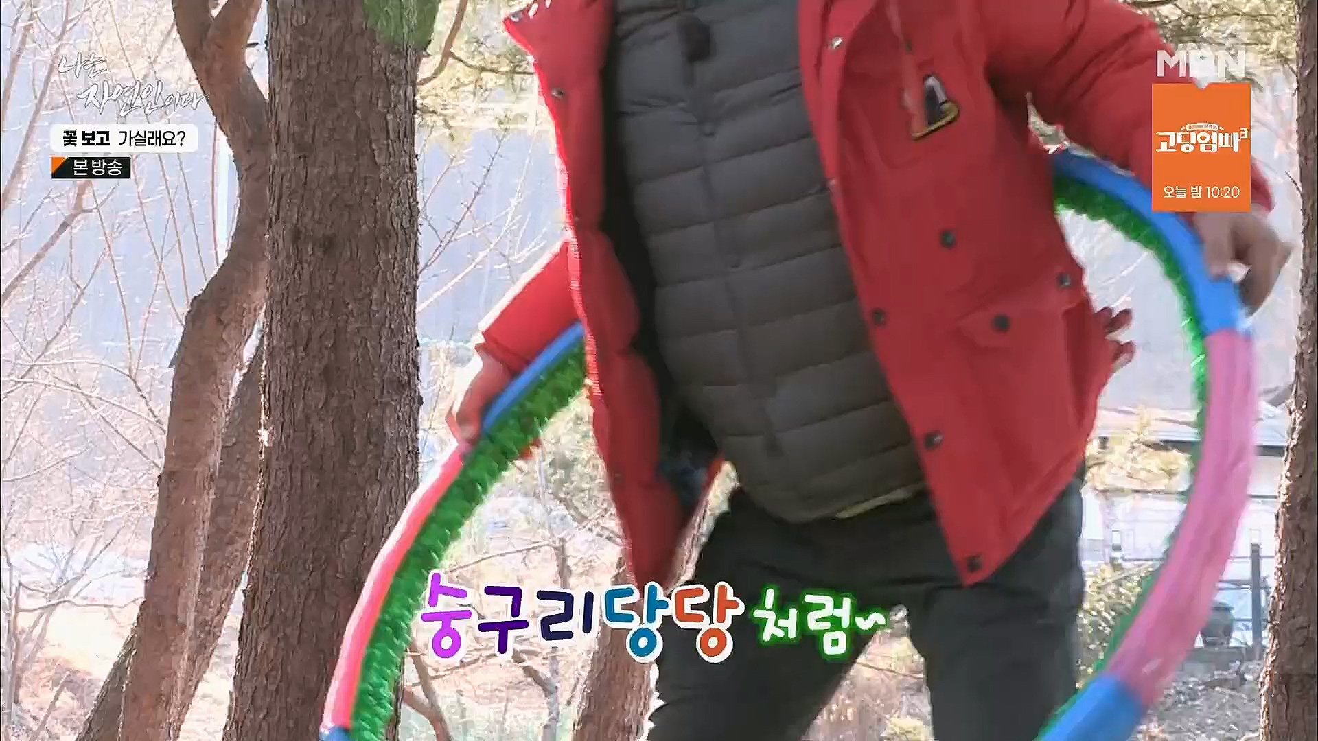 나는 자연인이다.E545.230315p.H264-F1RST.mp4_20230316_212118.147.jpg