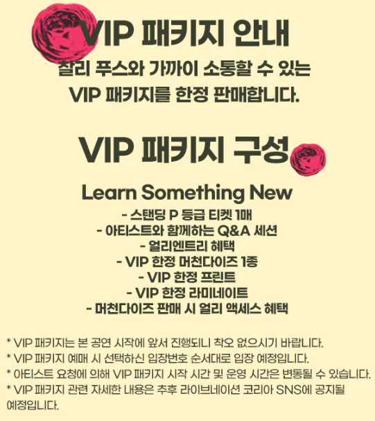 vip 패키지