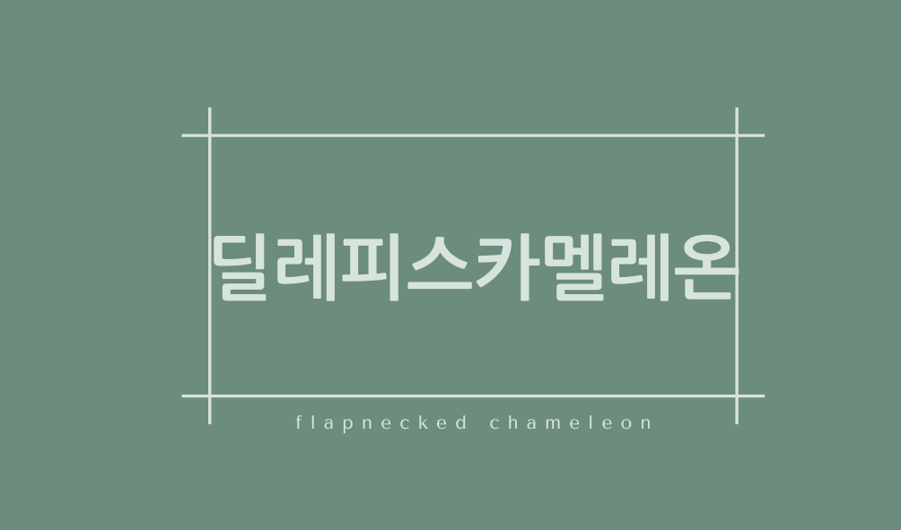 딜레피스카멜레온(flapnecked chameleon)