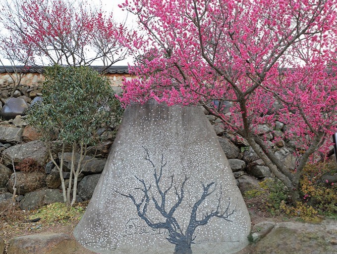 동화사 이미지