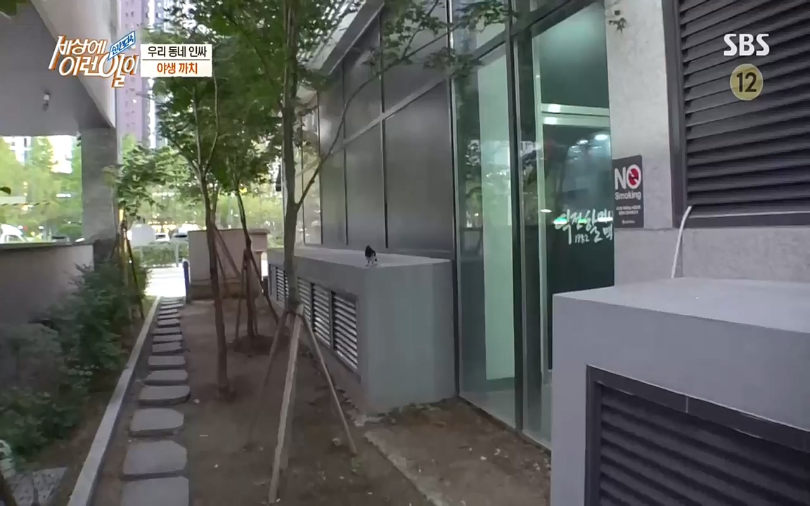 순간포착 세상에 이런일이.E1198.220920.H265p-BULDU.mp4_20220921_201953.976.jpg