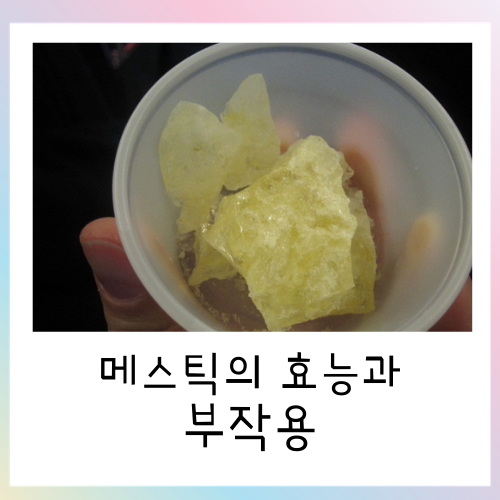  매스틱 효능과 부작용에 대해서