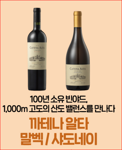 카테나 알타 말벡 샤도네이
