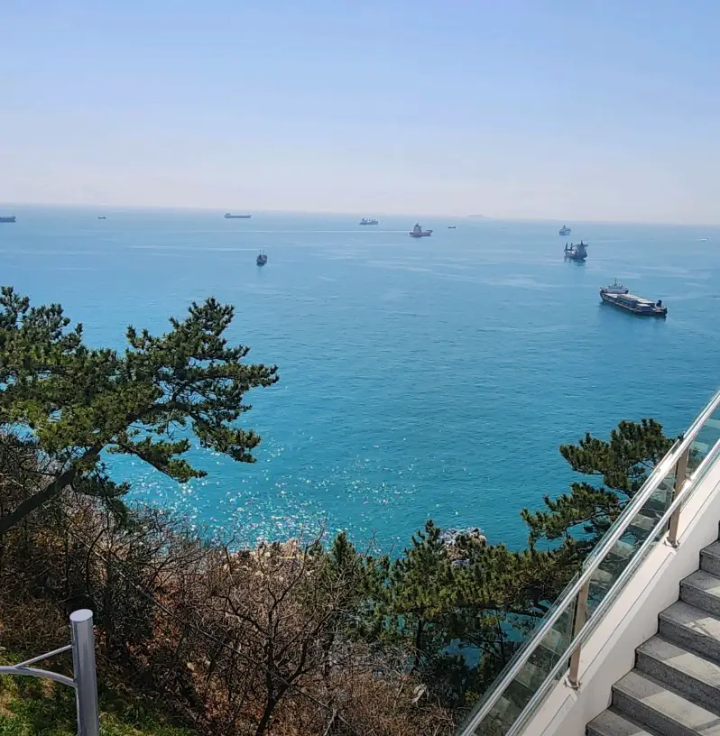 오션플라잉