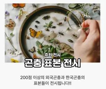 수원 파충류 동반자