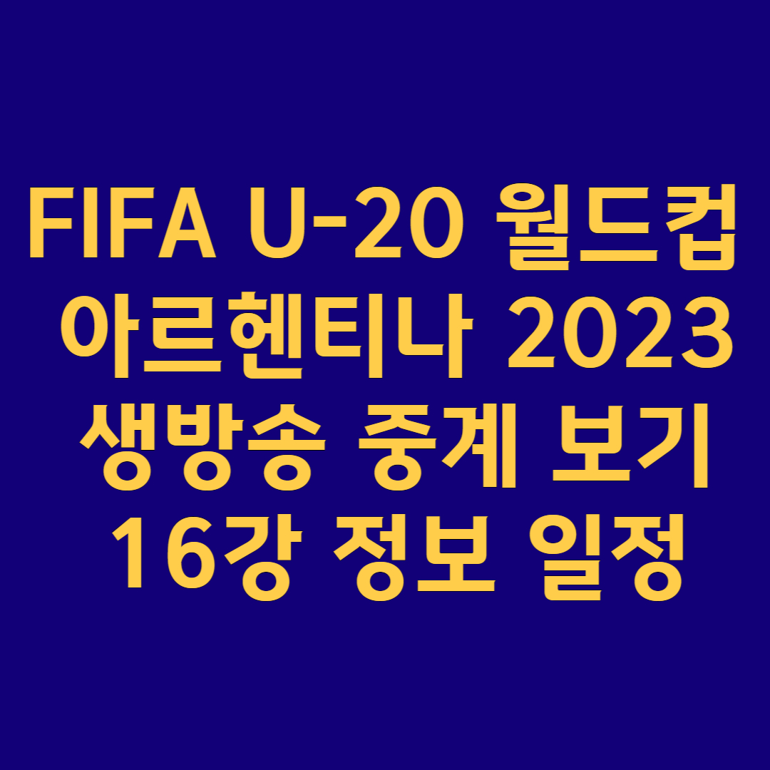 U-20 월드컵