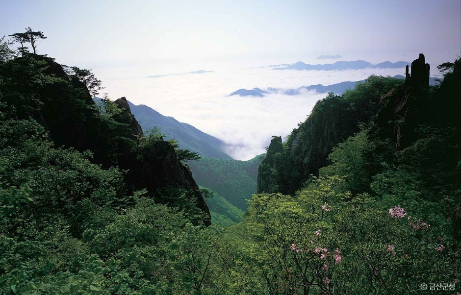 가을 단풍 여행 지도(3) - 충청도 - 장태산&amp;#44; 대둔산&amp;#44; 신성리갈대밭&amp;#44; 보발재&amp;#44; 문광저수지&amp;#44; 말티재 추천지 6곳!!4
