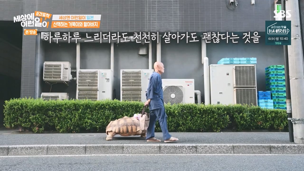 순간포착 세상에 이런일이.E1243.230827p-NEXT.mp4_20230827_172055.127.jpg