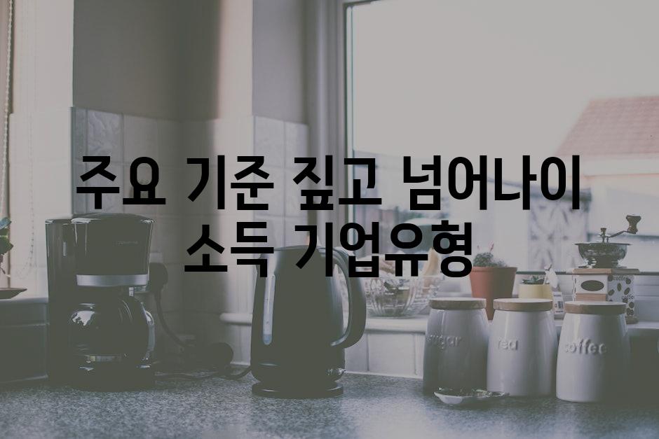 주요 기준 짚고 넘어｜나이, 소득, 기업유형