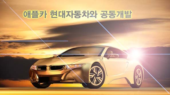  애플카 현대자동차와 공동개발