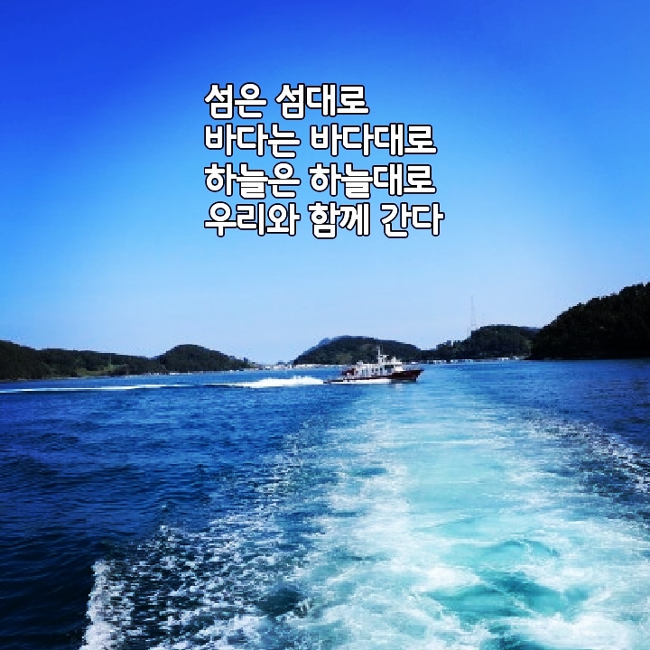 싶은 이미지