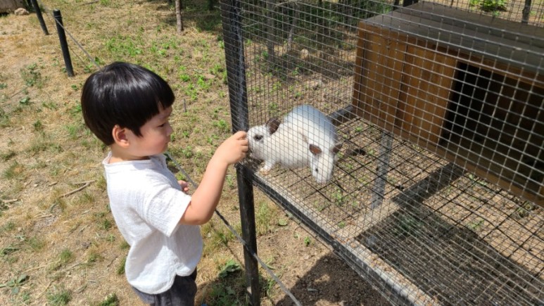 서울 근교 아이와 갈만한곳 [서울근교 갈만한곳] 남양주 산들소리수목원 5