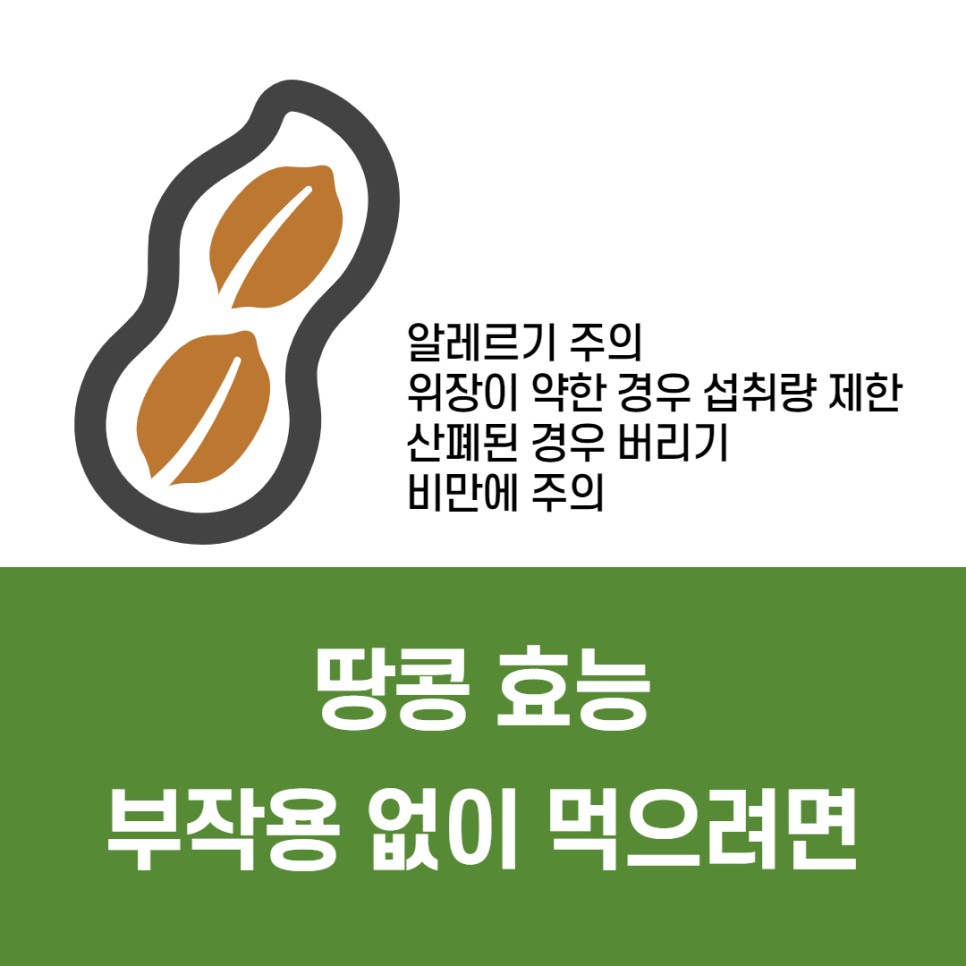 땅콩 칼로리 땅콩 효능 2