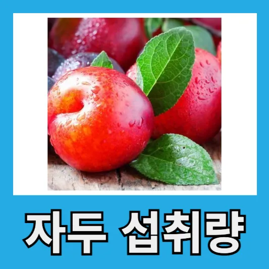 생자두 건자두 섭취량