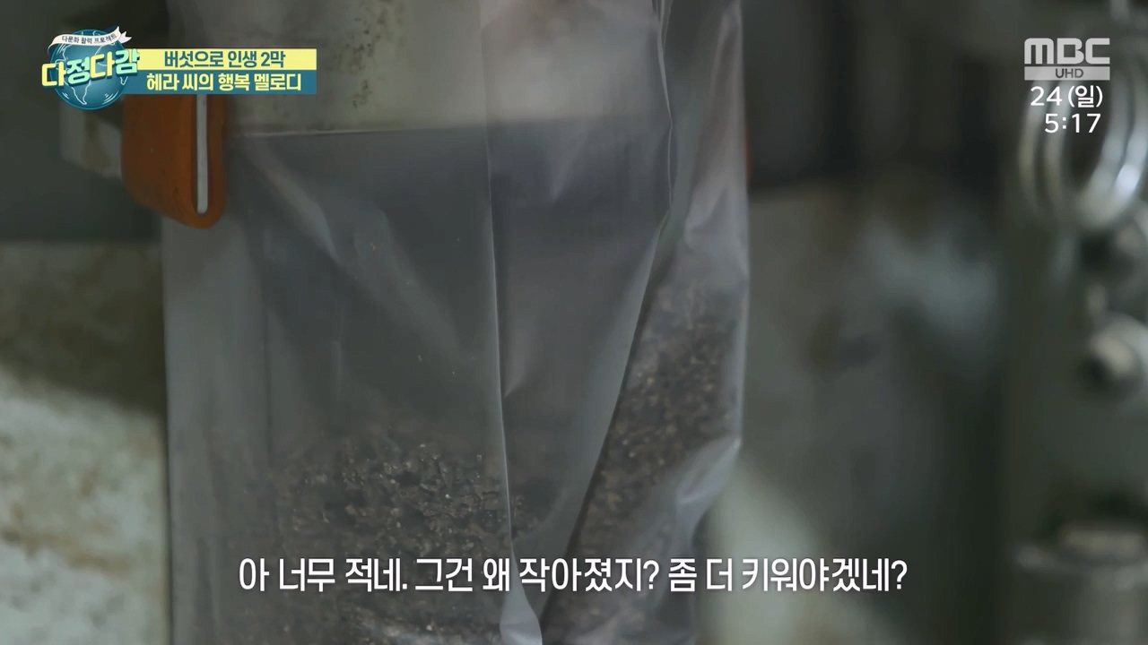 MBC 네트워크 특선 - 다문화 활력 프로젝트 다정다감.E1669.240325p-NEXT.mp4_20240328_200912.926.jpg