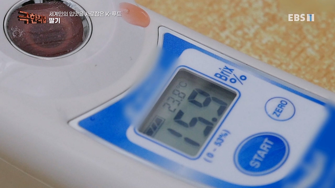 TV - 교육의 중심 EBS세계인의 입맛을 사로잡은 K-푸드.mp4_20230211_183459.381.jpg