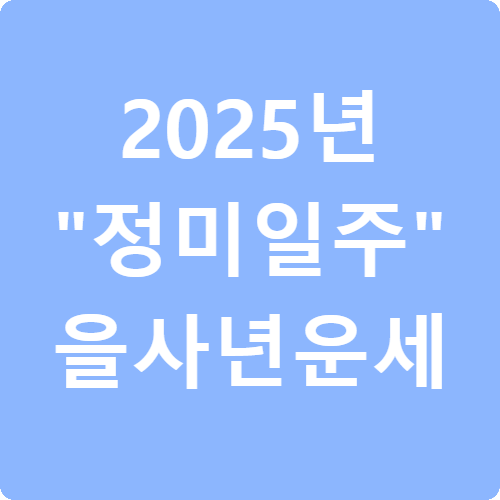 2025년 정미일주 을사년 운세