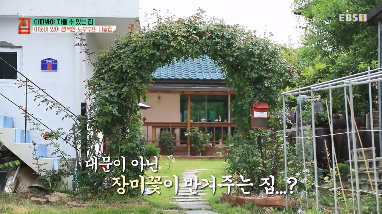 TV - 전 국민의 평생학교 EBS아파봐야 지을 수 있는 집.mp4_20230816_210517.025.jpg