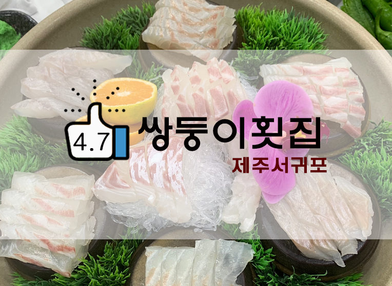  제주 서귀포 쌍둥이횟집본점(+메뉴/웨이팅 등 후기)