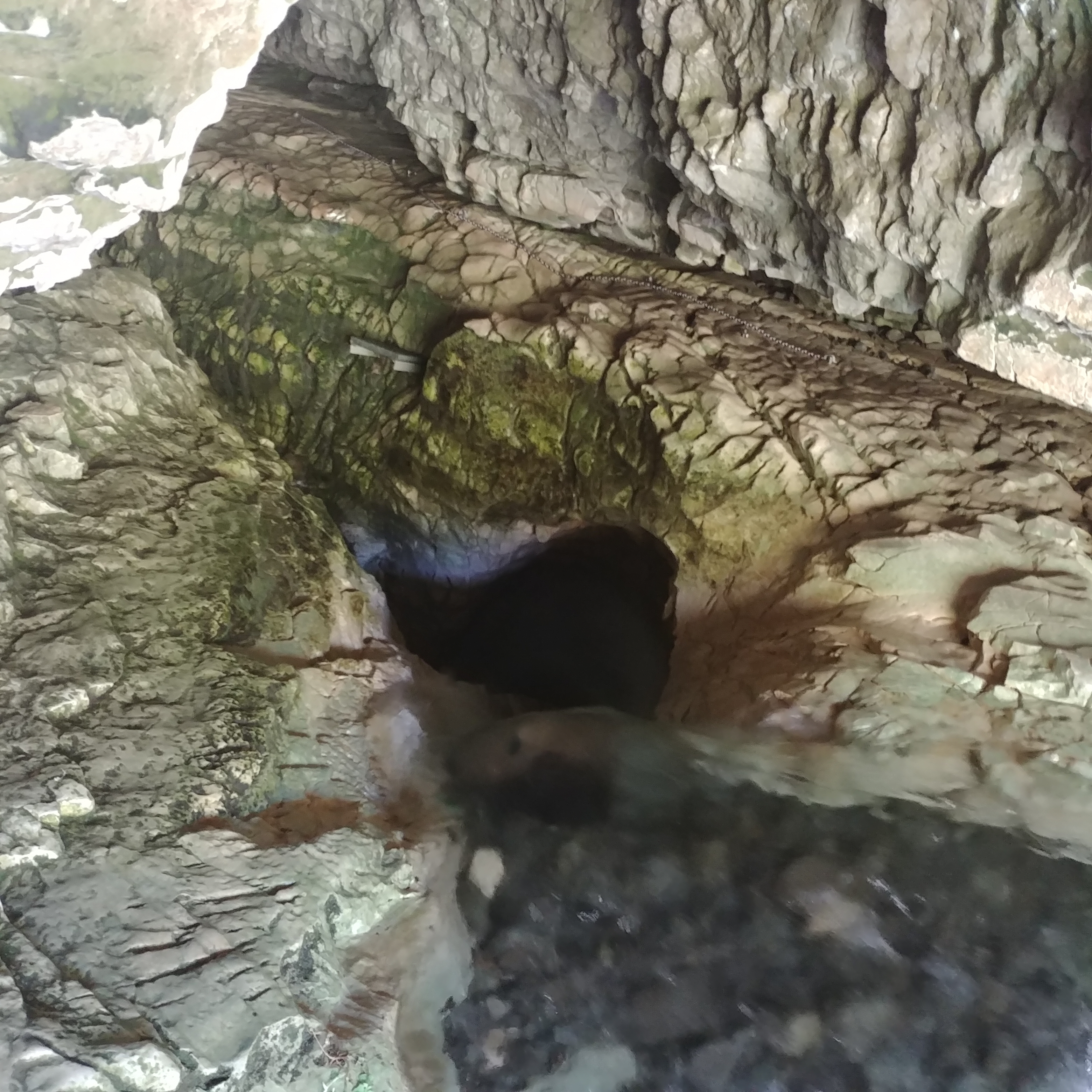 Cave Stream Scenic Reserve