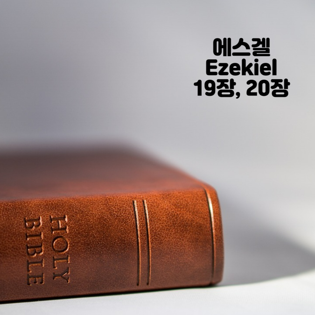 Holy BIBLE 생명의 삶 영어 한글 성경 말씀 - 에스겔(Ezekiel) 19장&#44; 20장