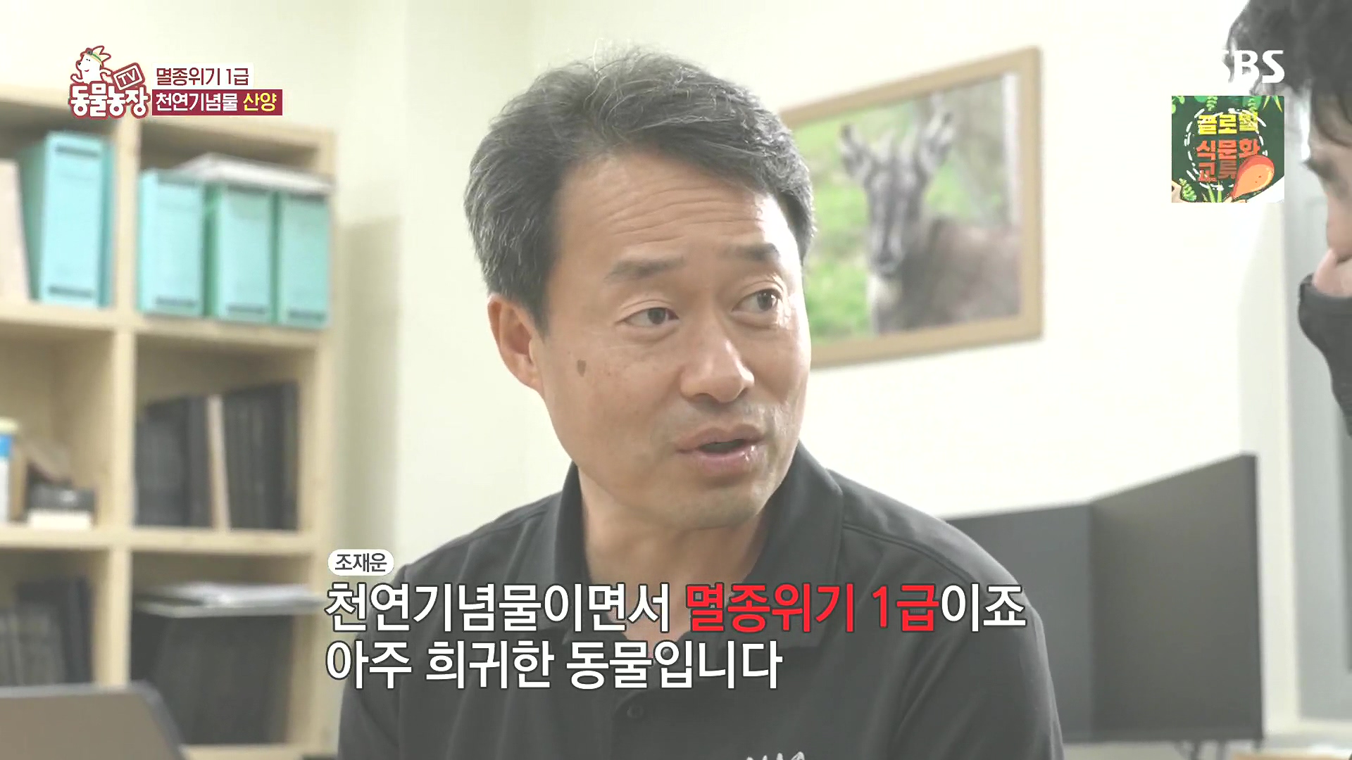 TV 동물농장.E1185.240818p.H264-F1RST.mp4_20240818_160806.657.jpg
