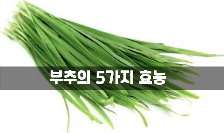  부추효능과 누구나 할 수 있는 나만의 레시피