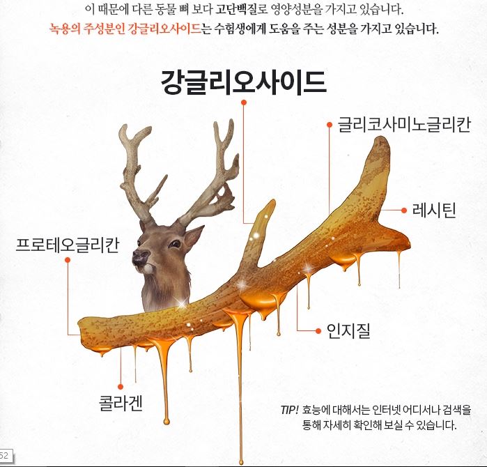 녹용과 가시오가피의 효능에 대해 알아보자 1