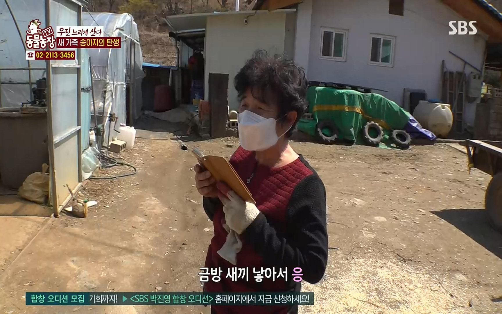 TV 동물농장.E1067.220501p.H264-F1RST.mp4_20220501_183452.816.jpg