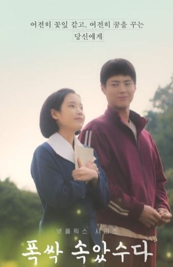 드라마 폭싹 속았수다 사진