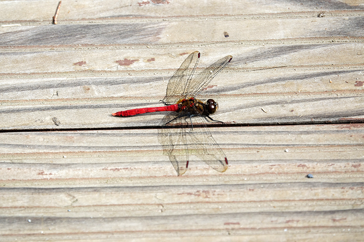 충남 걷기 좋은 숲길 국내여행 걷기 좋은 길, 9