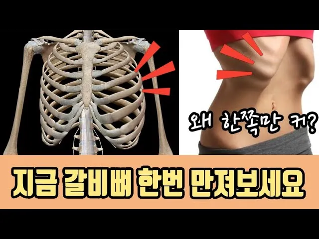 왼쪽 갈비뼈 통증 원인 대처방법_5