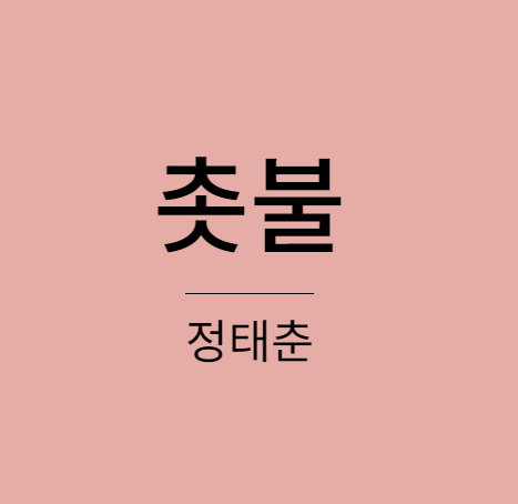 정태춘 - 촛불