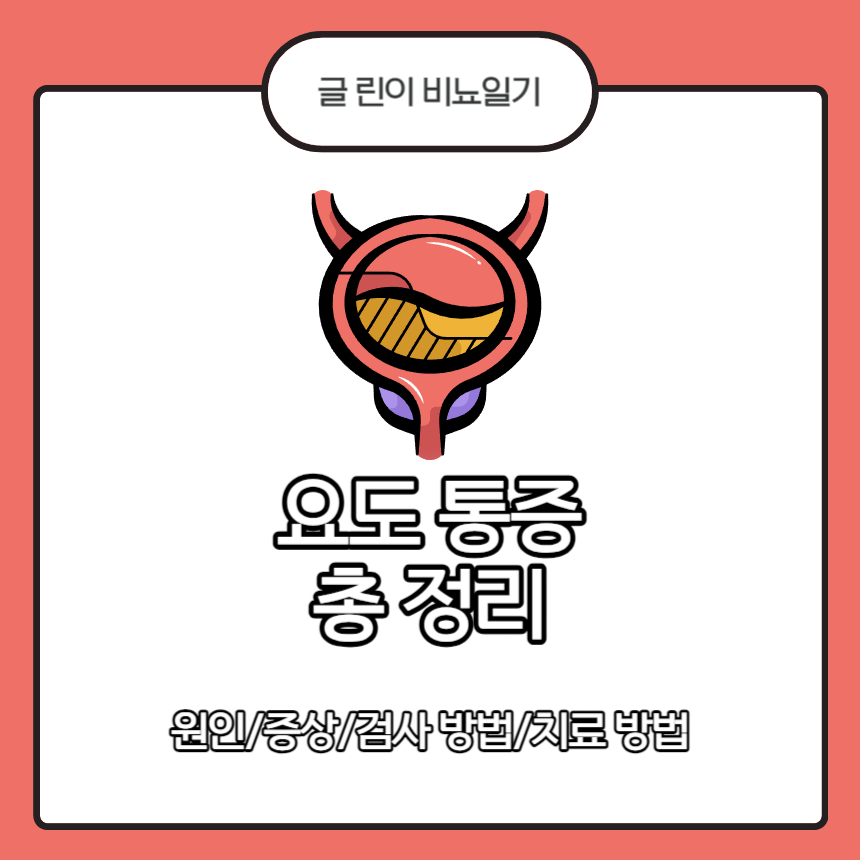  요도 통증 총 정리